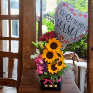 Te Quiero Mamá